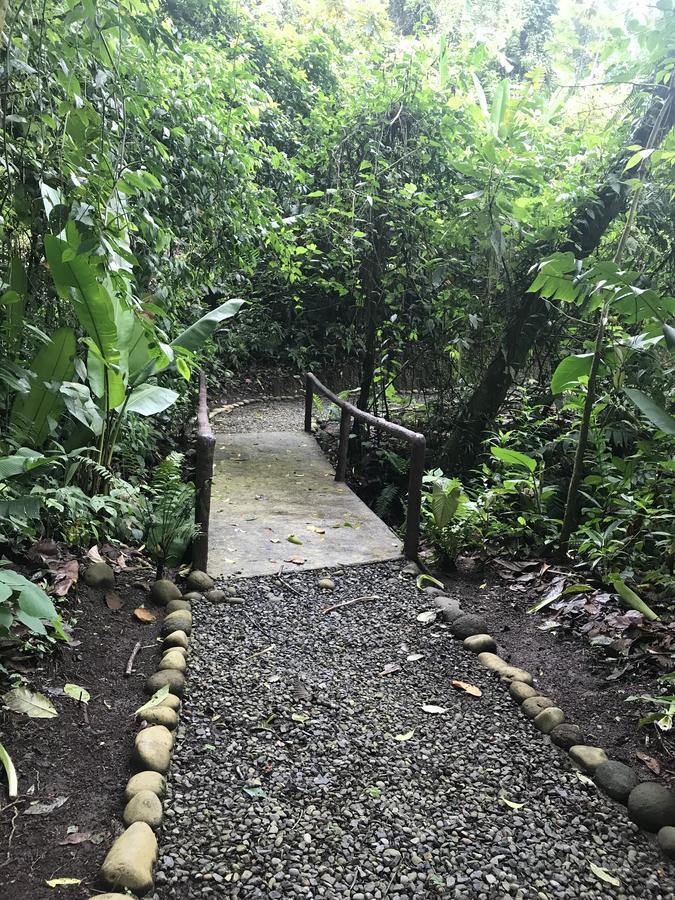 Arenal Roca Suites La Fortuna Dış mekan fotoğraf